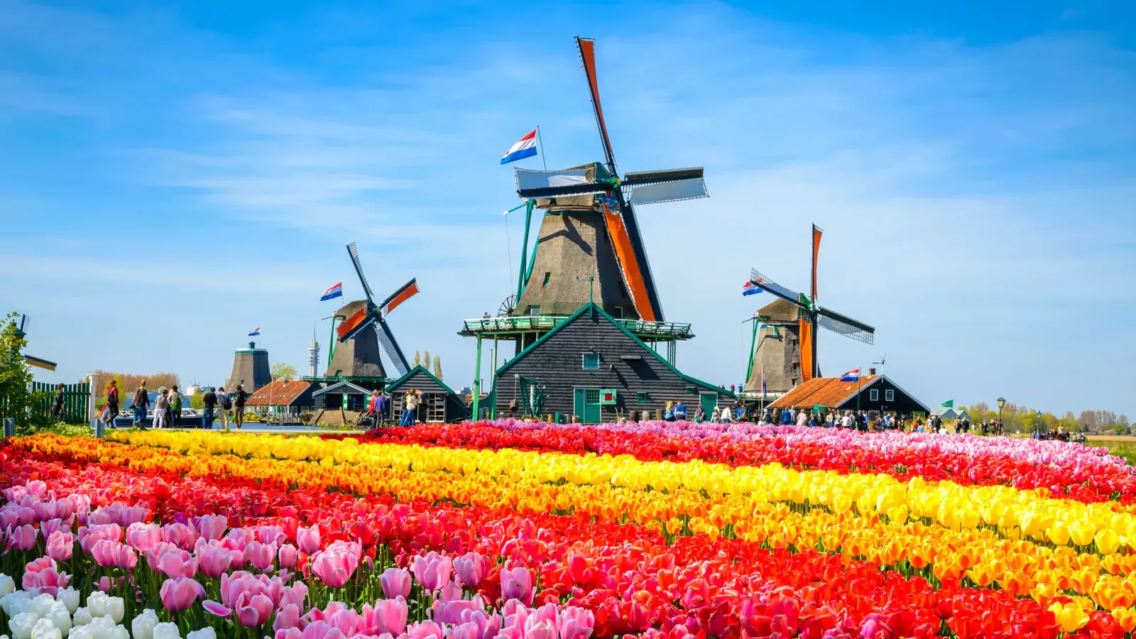 Maisons de canal d'Amsterdam et front de mer historique aux Pays-Bas