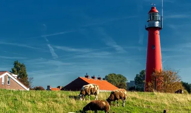 Hoek van Holland plage, dunes et côte de la mer du Nord aux Pays-Bas