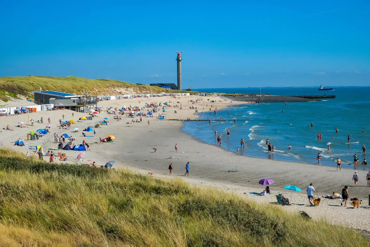 Destination ferry : Hoek van Holland