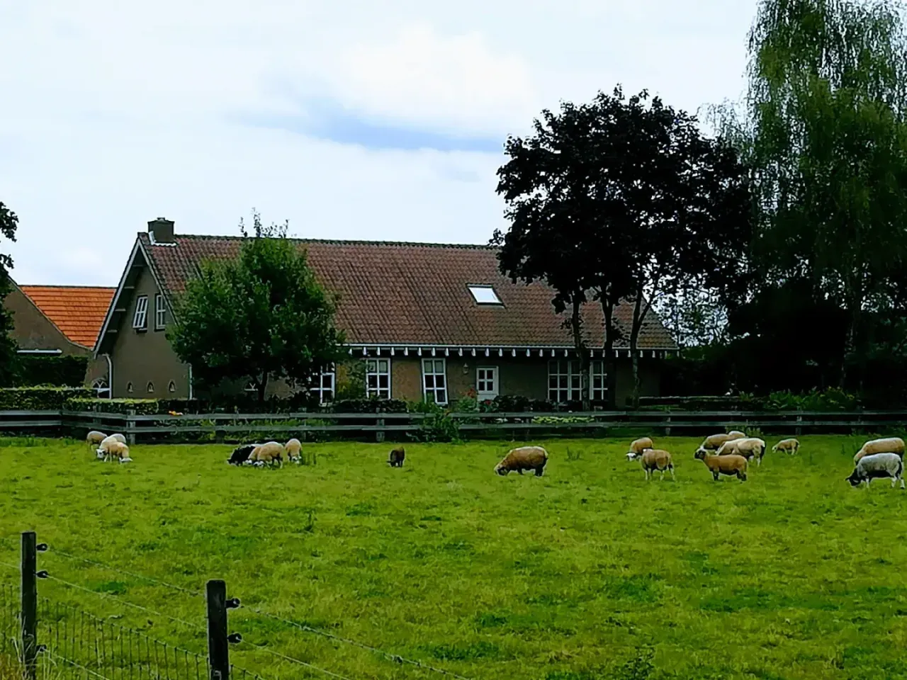 Fehmarn plages, la côte et les points forts des visiteurs près de Puttgarden