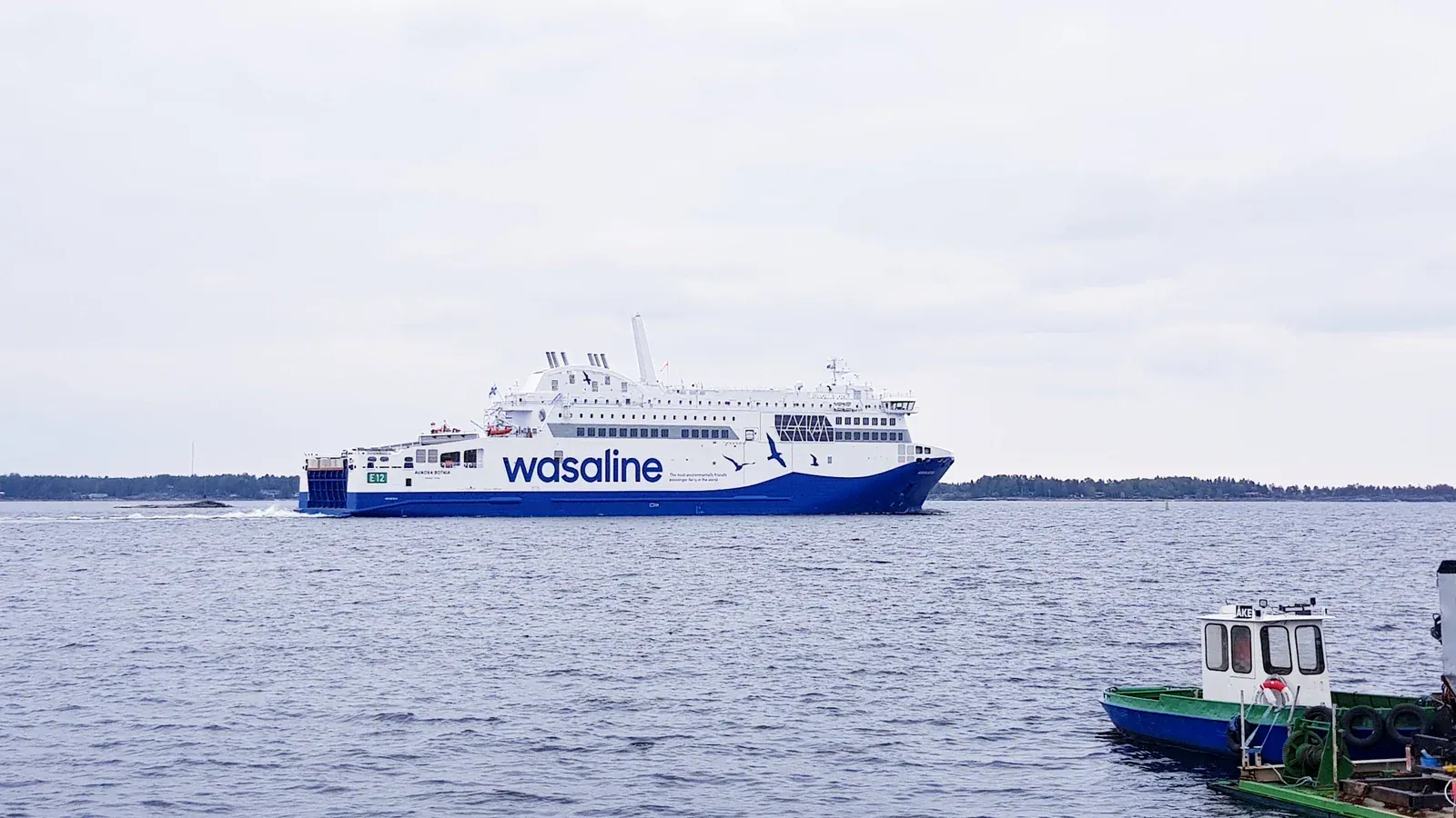 Aurora Botnia en couleurs Wasaline